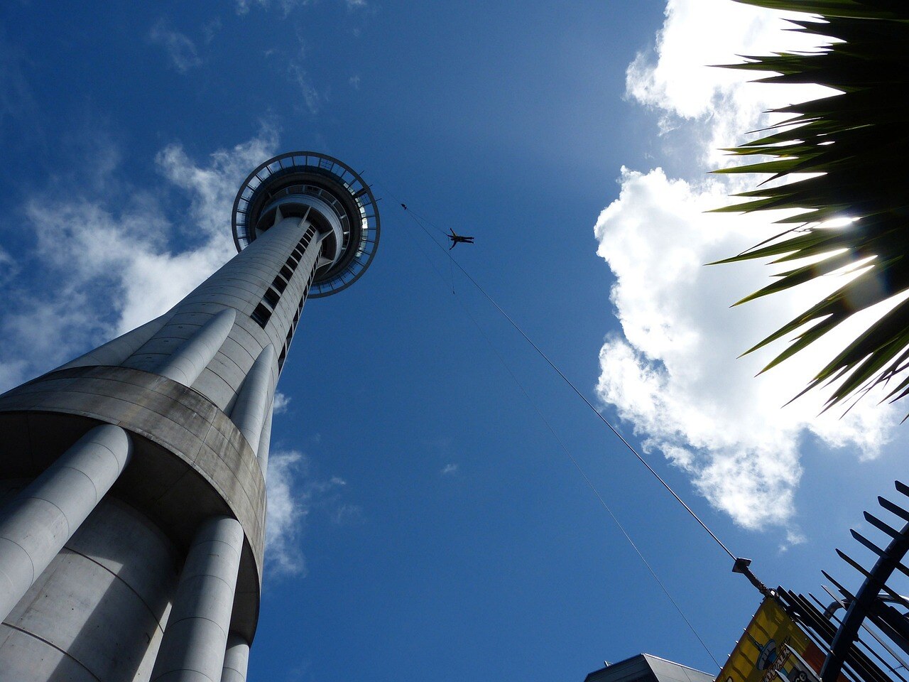 Bungee jumping off Auckland’s Sky Tower